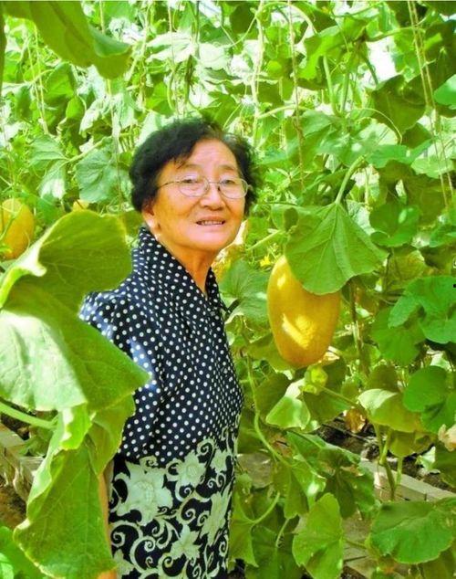 吃瓜的王教授,揭秘娱乐圈那些不为人知的幕后故事