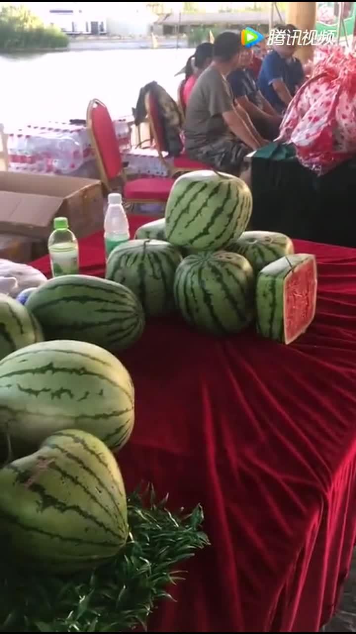 吃瓜奇形怪状的楼房,揭秘吃瓜楼房的独特魅力