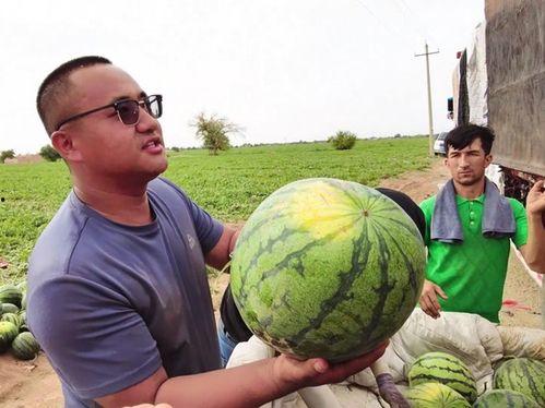 宝蓝广场吃瓜,一场吃瓜盛宴背后的故事