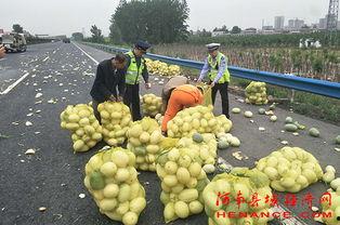 许昌大型吃瓜事件,揭秘背后真相与网络狂欢