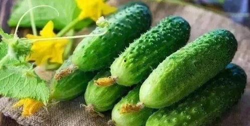 有人吃瓜会想吐,揭秘为何有人吃瓜会想吐