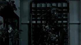 吃瓜纹身哥,揭秘娱乐圈幕后风云