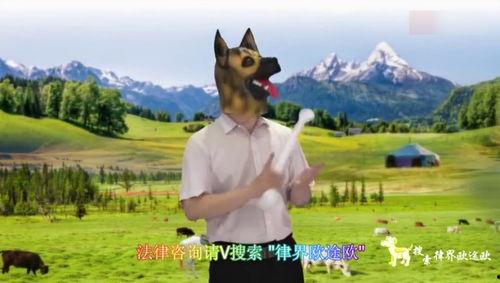 赵敏吃瓜群众,吃瓜群众眼中的娱乐圈风云人物