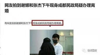 吃瓜视频民政局,民政局背后的那些事儿