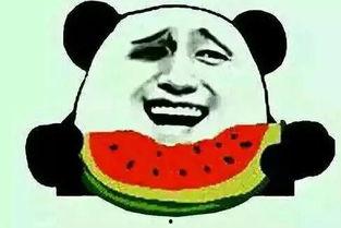 梦子吃瓜群,揭秘网络社交圈的趣味与争议