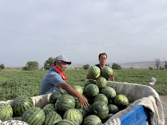 吃瓜耍人,揭秘网络时代的“耍人生”现象