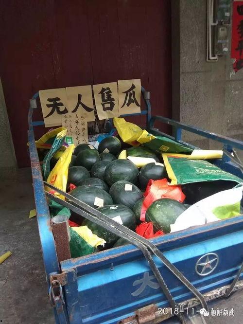 吃瓜卖楼销售,揭秘吃瓜卖楼销售新策略