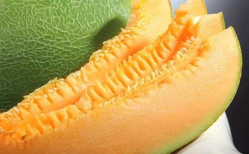 蜜瓜熟吃,尽享夏日甜蜜滋味