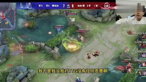 九尾cat吃瓜,九尾猫的瓜田奇遇记