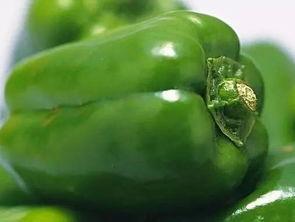 青椒与拉瓜可吃,营养美味两不误的健康美食搭配