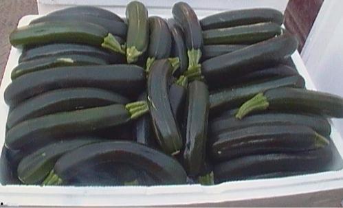 黑皮茭瓜怎么吃,探索美味与营养的完美结合