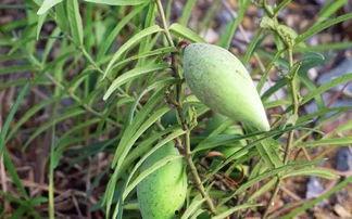 大风吃瓜了,揭秘娱乐圈风云变幻