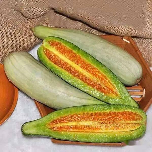 诺一斤吃瓜,揭秘瓜界新宠儿的魅力与争议