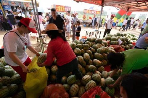 山东栏杆吃瓜,一场夏日里的欢乐盛宴