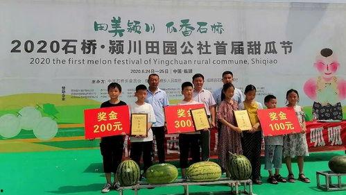 如何举办吃瓜比赛视频,揭秘吃瓜比赛举办全攻略